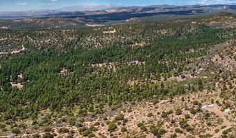937 Hillcrest Rd, Bayfield, CO 81122