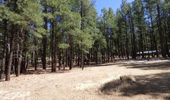 8 B County Road 2267 Escudilla Rd, Alpine, AZ 85920