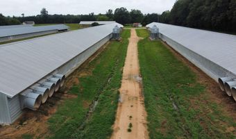 1613 N Bradley 8 Rd, Banks, AR 71631