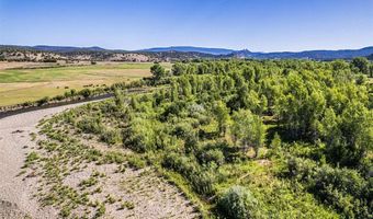 USFS RD 613, Arboles, CO 81147