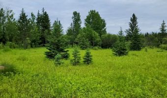 Xxx Heino Road, Angora, MN 55703