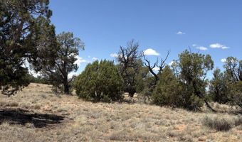 104 N 5532, Concho, AZ 85924