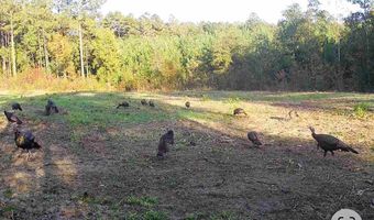 1139 W CR 19, Ariton, AL 36311