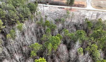 Lot 2 N UNION CHURCH RD, Ellendale, DE 19941