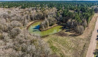 5280 Whitaker Way, Anderson, TX 77830