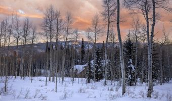 1724 Paintbrush, Avon, CO 81620