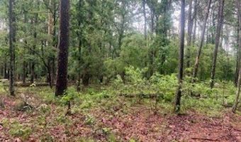 450 Apple Trl, Bogue Chitto, MS 39629