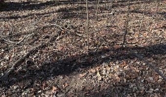 Cr 127, Abbeville, MS 38601