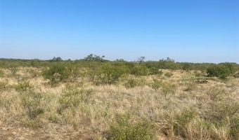 6525 US Highway 180 E, Anson, TX 79501