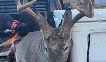 1037 Cr 300, Big Creek, MS 38914