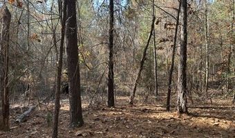 2423 Mill Creek Rd, Bethune, SC 29009