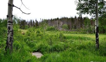 1256 Basking Dog Rd, Bellvue, CO 80512