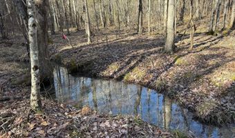 MOUNTAIN CUT RD lot C, Appomattox, VA 24522