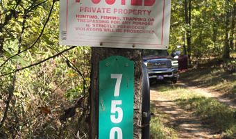 7501 Rainey Morris Rd, Appling, GA 30802