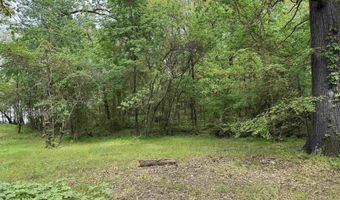 Tract 1 East Bay Road, Atkins, AR 72823