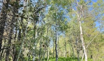 4340 Brodys Bnd, Ashton, ID 83420