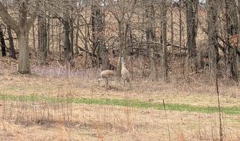 26808 2nd Ave, Allegan, MI 49010