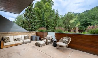 100 E Cooper Ave 11, Aspen, CO 81611