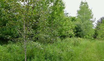 V/L Roseburgh, Alger, MI 48610