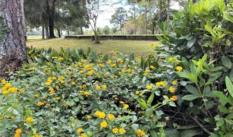 7203 NW 121 Ave, Alachua, FL 32615