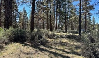 Ruddy Duck Drive Lot 5, Bonanza, OR 97623