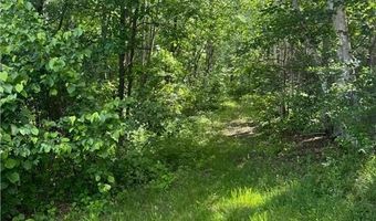 49382 Pansy Landing Rd, Arna Twp., MN 55072