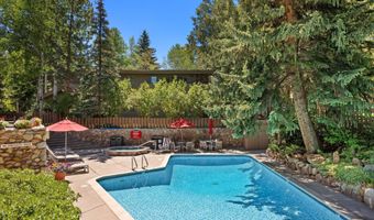 700 Ute Ave 213, Aspen, CO 81611