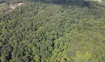 Reeves Road, Ashland, MS 38603