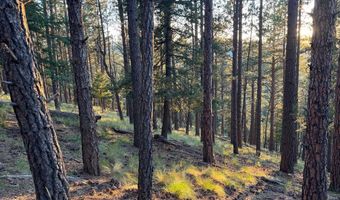 141 Afv N Back Basin Rd, Angel Fire, NM 87710