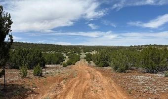 46 County Road 3048, Concho, AZ 85924