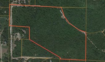County Road 9911, Green Forest, AR 72638