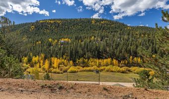 103 Gross Rd, Bailey, CO 80421