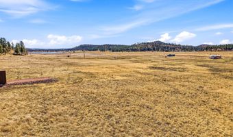 34 County Road 2100, Alpine, AZ 85920