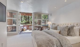 708 E Hyman Ave, Aspen, CO 81611