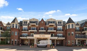400 E Dean St 09Ab, Aspen, CO 81611