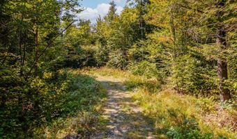 Lot 15-9 Beaver Bog Lane, Abbot, ME 04406