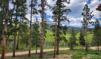 256 Fisk Fenner Rd, Allenspark, CO 80510