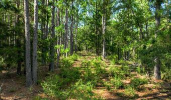 12 5+/- Acres Zell Ready Rd, Andalusia, AL 36421