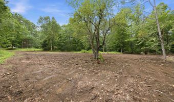 Dane Road lot 29, Center Harbor, NH 03226