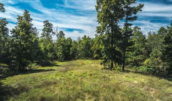 470 County Road 118, Annapolis, MO 63670