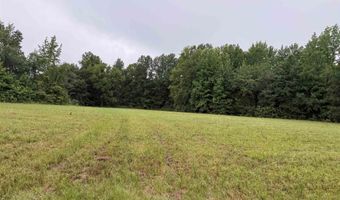 100 Acres Highway 34 W, Beech Grove, AR 72412