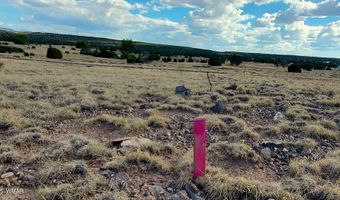 1 County Road 5088, Concho, AZ 85924
