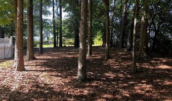 123 Vann Dr, Ashford, AL 36312