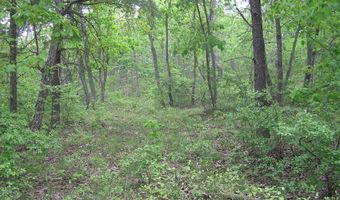 100 Valley View Dr, Altamont, TN 37301