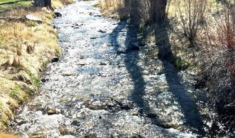 1225 Country Ln, Lamoille, NV 89828