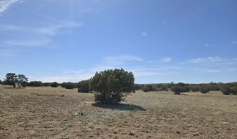 256 D Old Antelope Run Rd, Ash Fork, AZ 86320