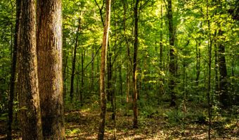 3024 Us-84, Brookhaven, MS 39601