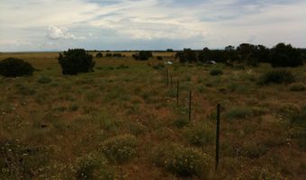 1354 S EASTLAND Rd, Blanding, UT 84511