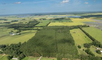 Jolene Road, Basile, LA 70515