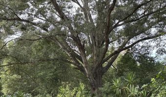 3427 GOLDEN GEM Rd, Apopka, FL 32227